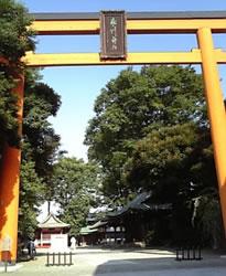 川越氷川神社