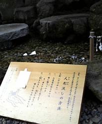 川越氷川神社　人形流し