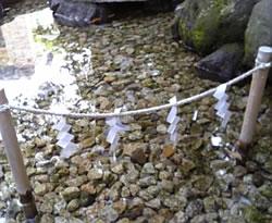 川越氷川神社　清らな流れ