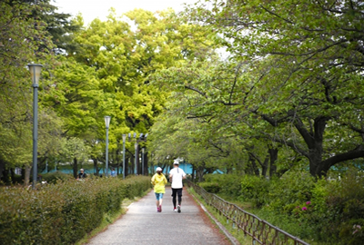 婚活における創造力、想像力を鍛える方法。自分の結婚生活のビジョンを持って、イメージしよう。