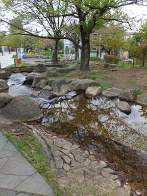 婚活は真逆なデートが功を奏す。あらかわ遊園は、隅田川の水を浄化した水遊び場があります。