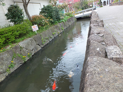 婚活は真逆なデートが功を奏す。都電に乗って、あらかわ遊園へ行こう。