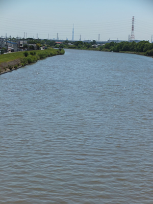 あえて地方色を活かした婚活のススメ。埼玉県吉川市の赤い橋「新中川水管橋」から東京スカイツリーが見えます。