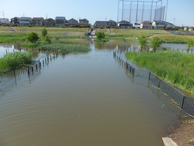 あえて地方色を活かした婚活のススメ。雨水を一時貯留する調整池機能を備えた「吉川中央緑地」です。