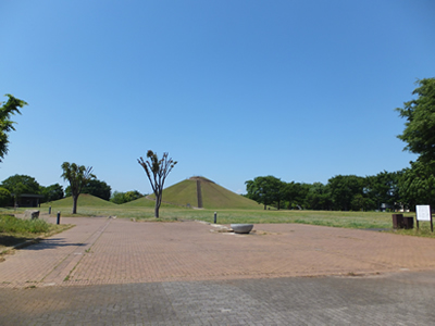 あえて地方色を活かした婚活のススメ。永田公園は広々としています。