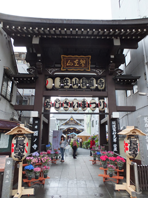 夏バテに婚活バテに喝！頭にお灸を据えて乗りきろう。「酉の寺　長國寺」で「いきいきあじさい祭」が開催されました。