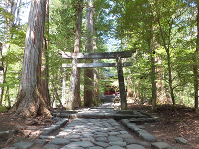 大人 婚活 日光デート 神社仏閣　ハイキング