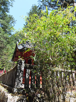 大人 婚活 日光デート 滝尾神社　ハイキング