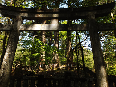 大人 婚活 日光デート 滝尾神社　ハイキング